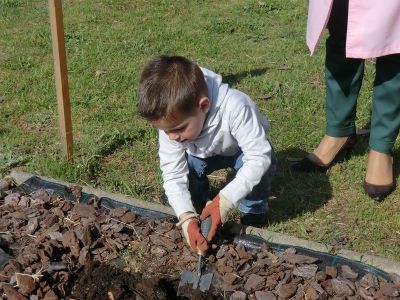 Lois_plantando_apio_e_pementos_(32).JPG