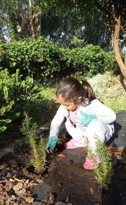 Noa_plantando_romeu.JPG