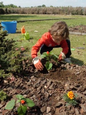 Oliver_plantando_salvia.JPG