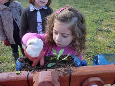 Rib_4-5_plantando_xardineiras_(16).JPG