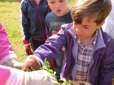 Rib_4-5_plantando_xardineiras_(26).JPG