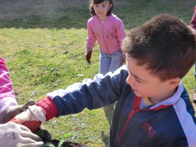 Rib_4-5_plantando_xardineiras_(39).JPG