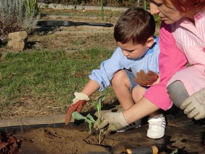 Ribadumia_3_anos_plantando___(25).JPG