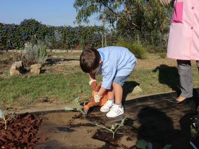 Ribadumia_3_anos_plantando___(29).JPG