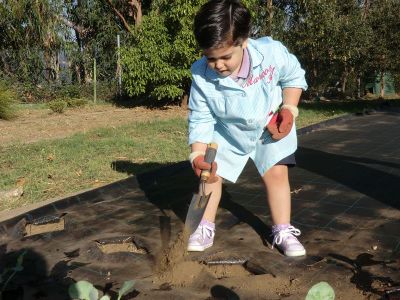 Ribadumia_3_anos_plantando___(35).JPG