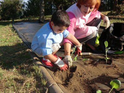 Ribadumia_3_anos_plantando___(47).JPG
