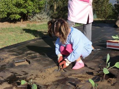 Ribadumia_3_anos_plantando___(50).JPG