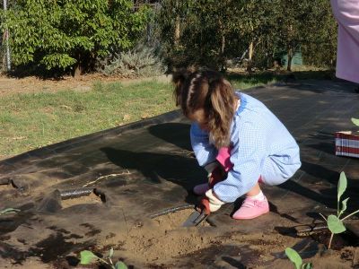 Ribadumia_3_anos_plantando___(51).JPG