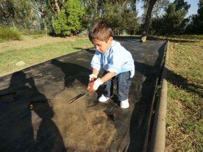 Ribadumia_3_anos_plantando___(6).JPG