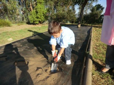 Ribadumia_3_anos_plantando___(7).JPG