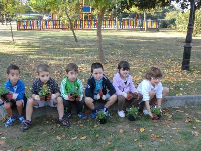 Ribadumia_4-5_plantando_Viola_(31).JPG