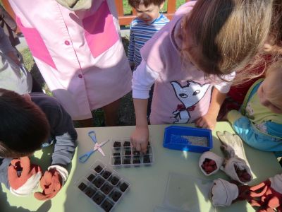 SISAN_PLANTANDO_SEMENTE_DE_LEITUGA_(26).JPG