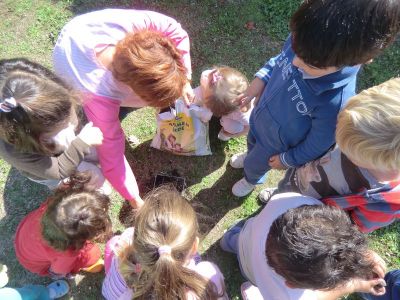SISAN_PLANTANDO_SEMENTE_DE_LEITUGA_(48).JPG