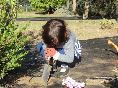 Sisán_plantando_ciclamen_(26).JPG