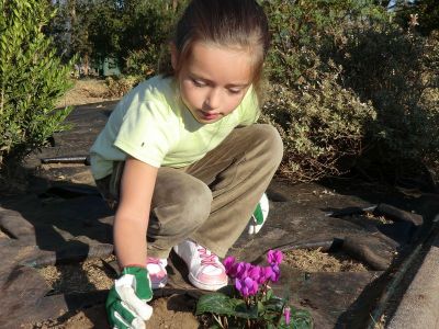 Sisán_plantando_ciclamen_(3).JPG