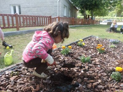 Sisán_plantando_taxete_(15).JPG