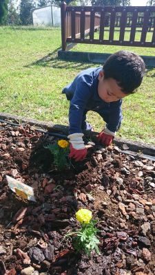 Yahya_plantando_taxete_opt.jpg