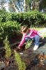 Ainoa_plantando_romeu.JPG