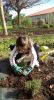 Alba_plantando_tomiño.JPG