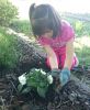 Andrea_plantando_alegría_guineana_opt.jpg