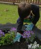 Diego_plantando_oxalis_ou_oca_opt.jpg