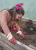Lía_plantando_cogombros_opt.jpg