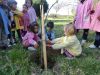 Leiro_Plantando_Figueira_(6).JPG