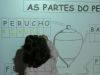 Leiro_partes_do_trompo_(18).JPG