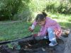 Leiro_plantando_amorodos_(27).JPG