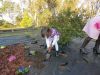 Lois_plantando_(2).JPG