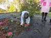 Lois_plantando_(3).JPG