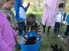 Lois_plantando_Pereira_(24).JPG