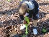 Lois_plantando_apio_e_pementos_(15).JPG