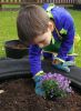 Lois_plantando_campanula_opt.jpg