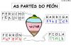 Ribadumia_4-5_partes_do_trompo_(11).jpg