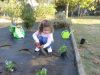 Ribadumia_4-5_plantando_Viola_(16).JPG
