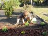 Ribadumia_4-5_plantando_Viola_(37).JPG