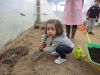 Sisán_planta_leitugas_(16).JPG