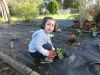 Sisan_plantando_nos_parterres_(16).JPG