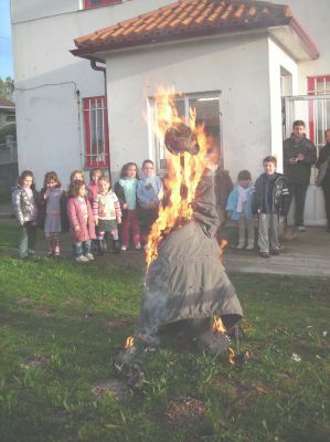 40_meco_800.jpg
