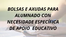 BECAS NEAE