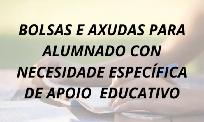 BECAS NEAE