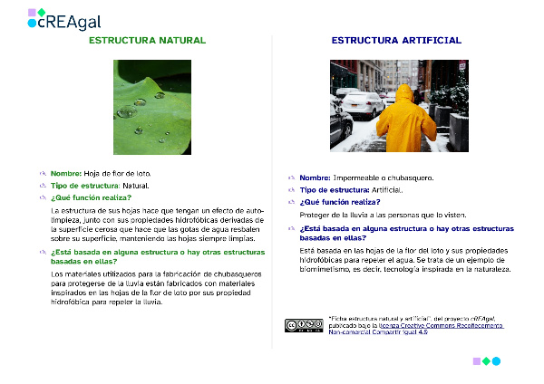 Modelo de ficha de de estructuras naturales y artificiales