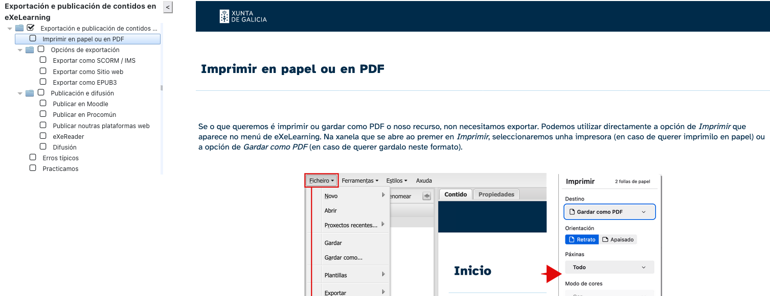 visualización como SCORM