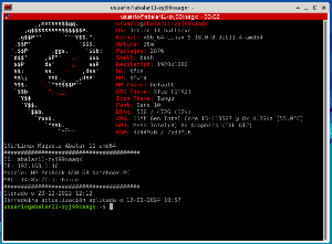 Línea de comandos Linux Debian