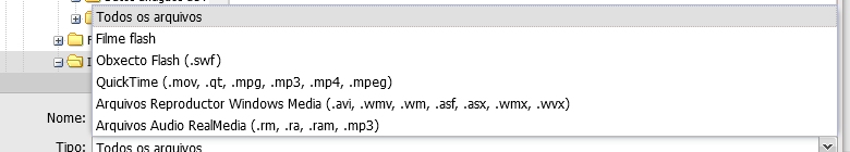 Captura de pantalla dun REA na que pode verse diferentes formatos de vídeo