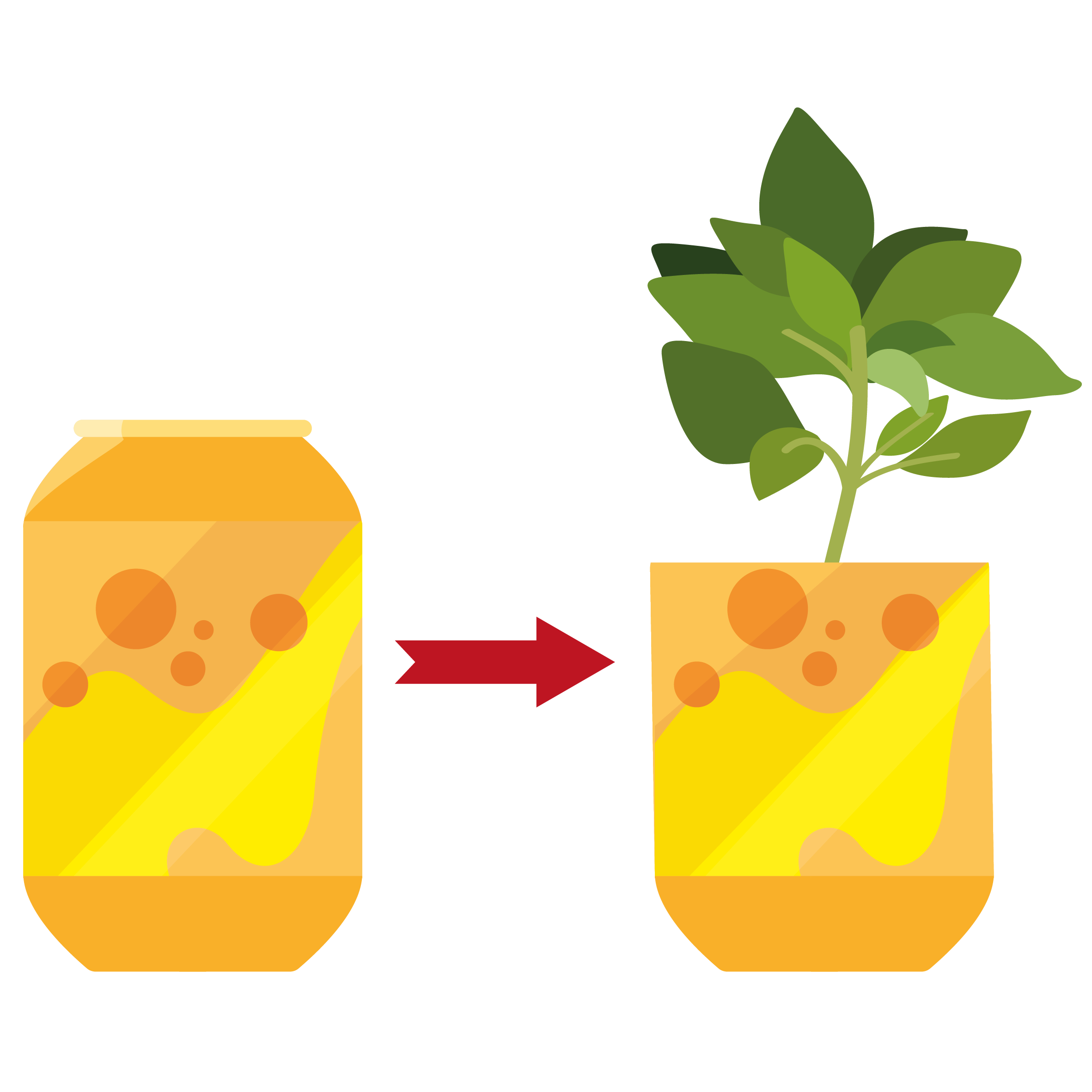 Imaxe que amosa un bote reusado como testo