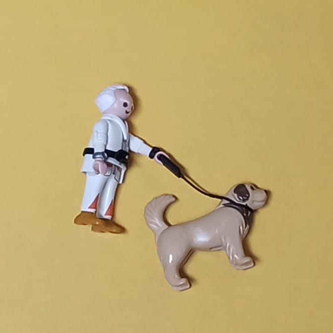 Playmobil de un anciano con perro