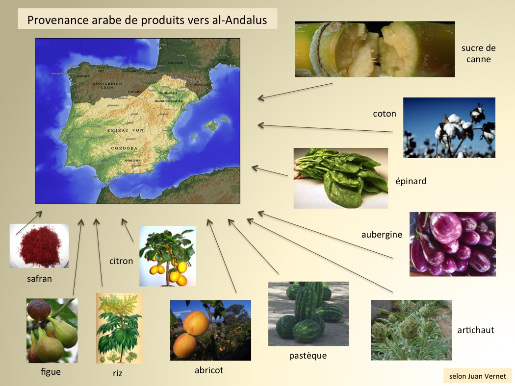 Provenance arabe de produits vers al-Andalus, selon l'historien Juan Vernet (