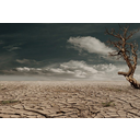 Drought